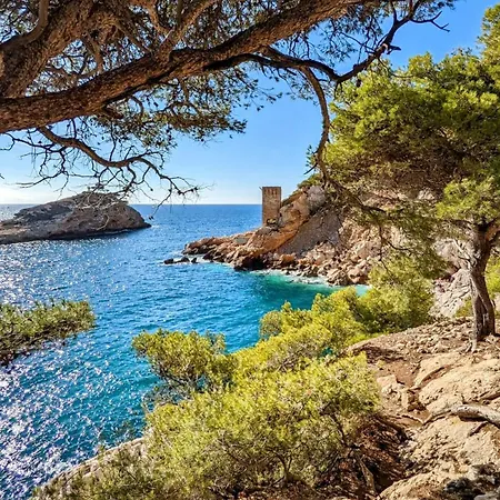 Vue Incroyable ! Face Aux Calanques *